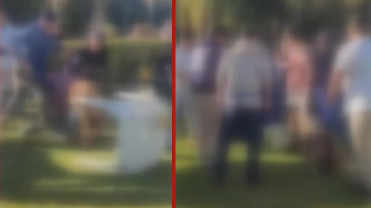 Discussão por cão sem focinheira termina em briga, em Curitiba