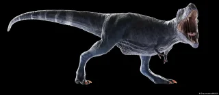 Desvendado o mistério dos braços curtos do T-Rex