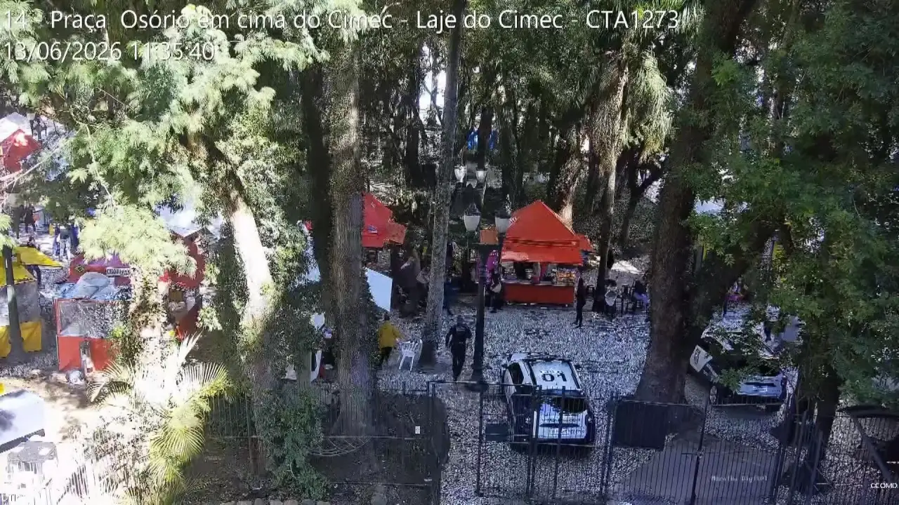 Vídeo mostra queda de galho que fez jovem perder movimentos em praça de Curitiba