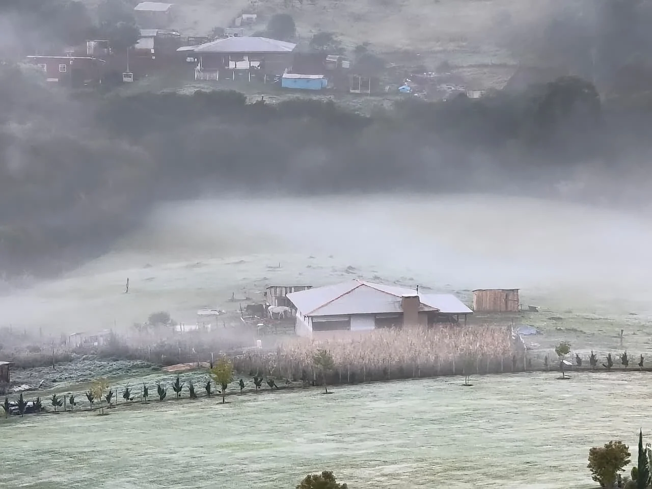 Primeira semana do inverno deve ter tempestades, geadas e termômetros abaixo de 0ºC no Paraná; veja onde e a previsão do tempo