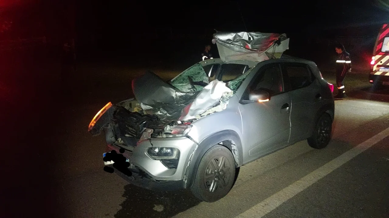Mulher morre após carro bater em animal solto na BR-265