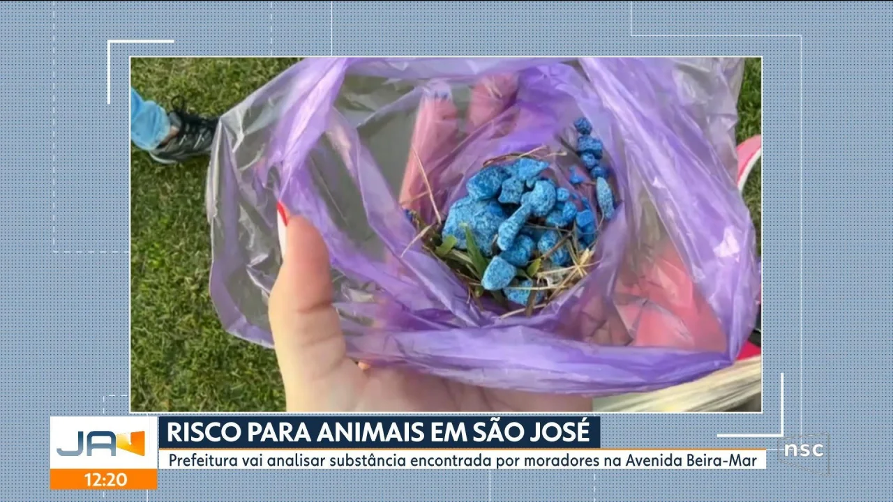 VÍDEOS: Jornal do Almoço Florianópolis de segunda-feira, 22 de junho de 2026