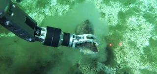 Vale das baleias mortas: cientistas acham megacorredor de esqueletos de 1,2 mil km no fundo do Oceano Índico