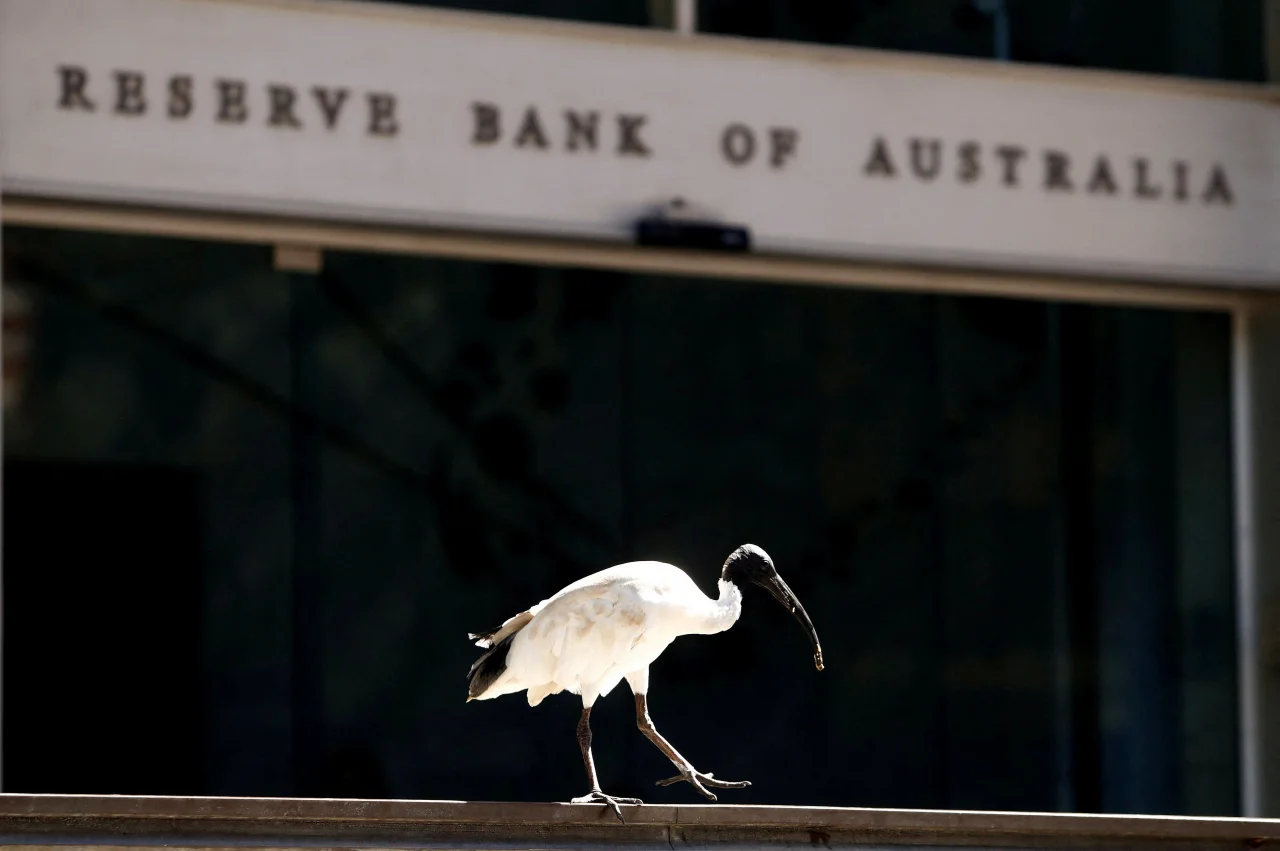 Australia confirms 2º case of avian flu on the continent in less than a week