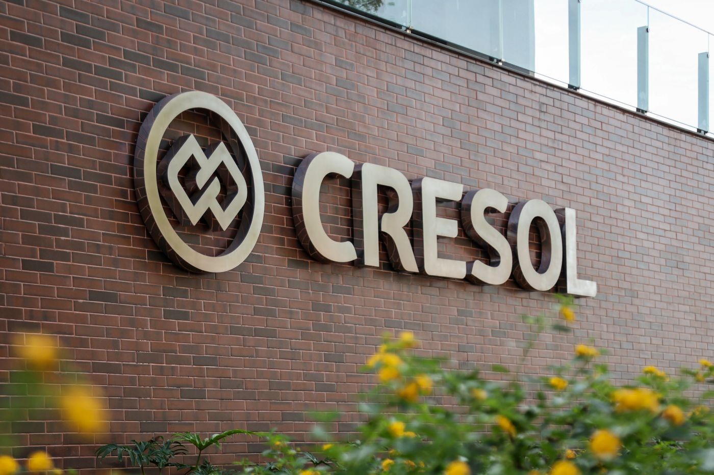 Cresol completa 31 anos e consolida modelo de expansão sustentável