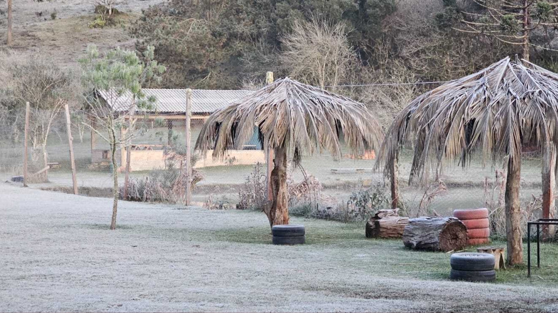 Paraná registra geadas, a menor temperatura do ano e sensação térmica de -8,4ºC; veja imagens e a previsão do tempo