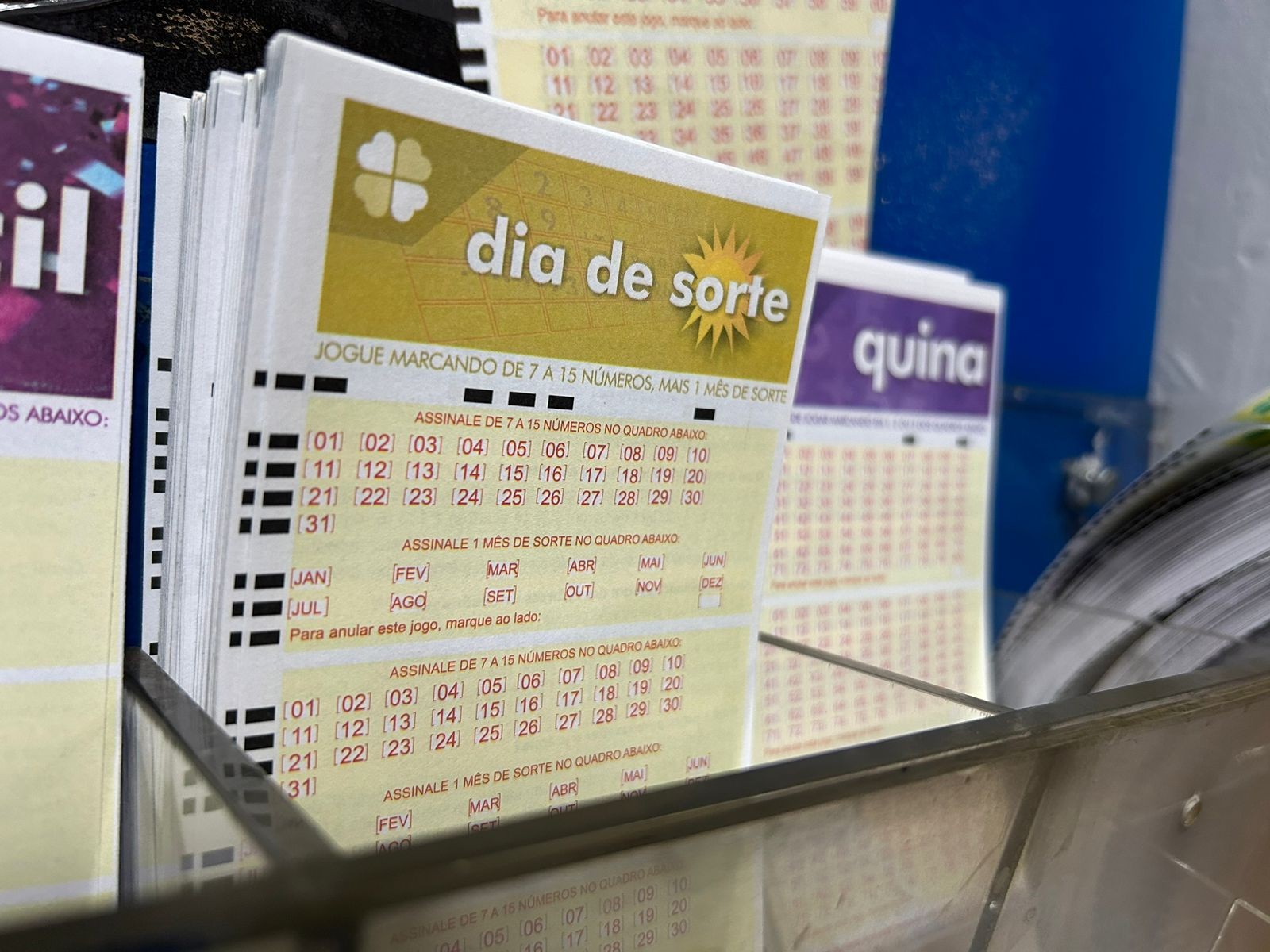 Dia de Sorte hoje: resultado do concurso 1232 e números sorteados
